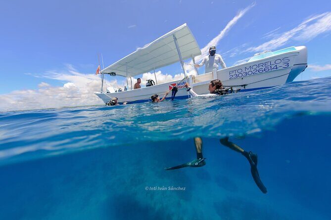 Scuba Referral Dives & Beach Club with Transportation In Riviera Maya - FAQ