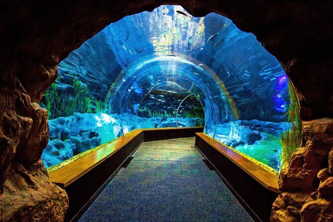 Sea and Mountain Full Day Tour with Lunch - Final Thoughts