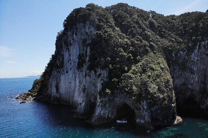 Sea Cave Adventures in the Coromandel - The Value for Money