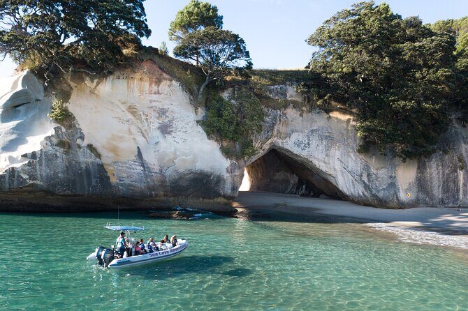 Sea Cave Adventures in Whitianga - Exploring Sea Cave Adventures in Whitianga: A Genuine Look