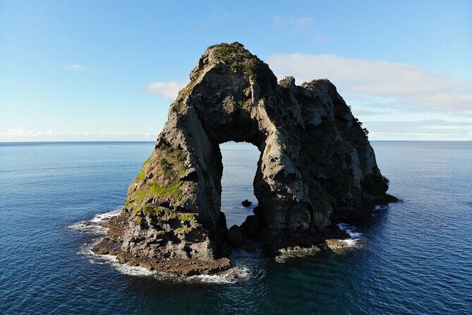 Sea Cave Adventures in Whitianga - Practical Details and Value