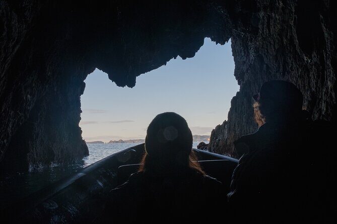 Sea Cave Adventures in Whitianga - Final Thoughts