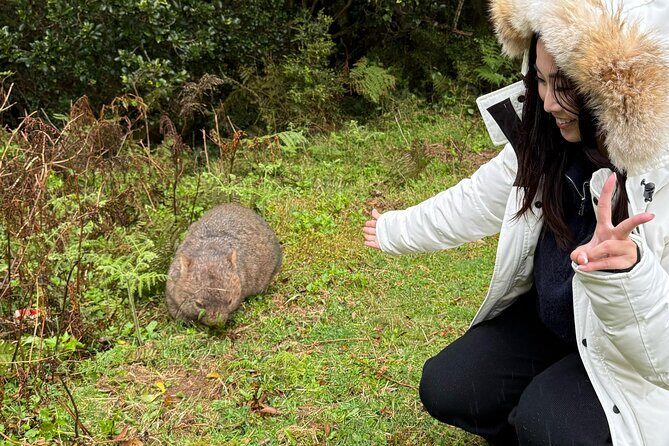Sea Cliff Bridge, Kiama Blowhole, Beaches & Wildlife Small Group - What to Expect on This Coastal Adventure