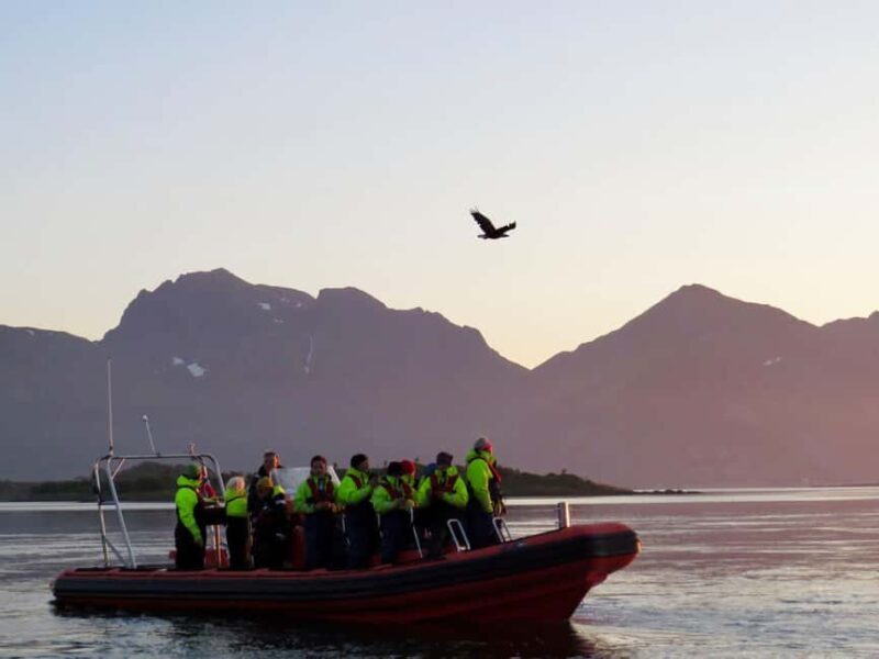 Sea Eagle/Nature Safari - What to Expect from the Sea Eagle/Nature Safari