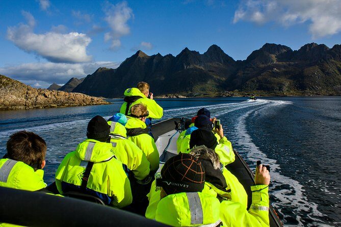 Sea Eagle Safari from Svolvær to Trollfjorden - Who Is This Tour Best For?
