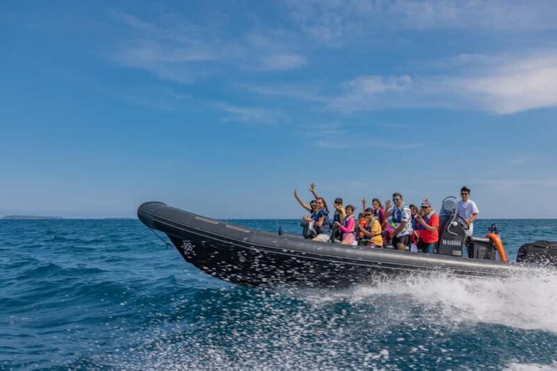 Sea excursion - Monaco from Nice - What to Expect from the Nice to Monaco Sea Excursion