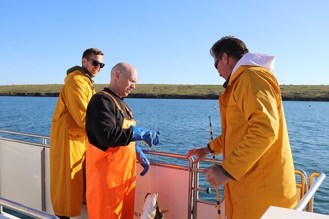 Sea Fishing Experience from Reykjavik - Key Points