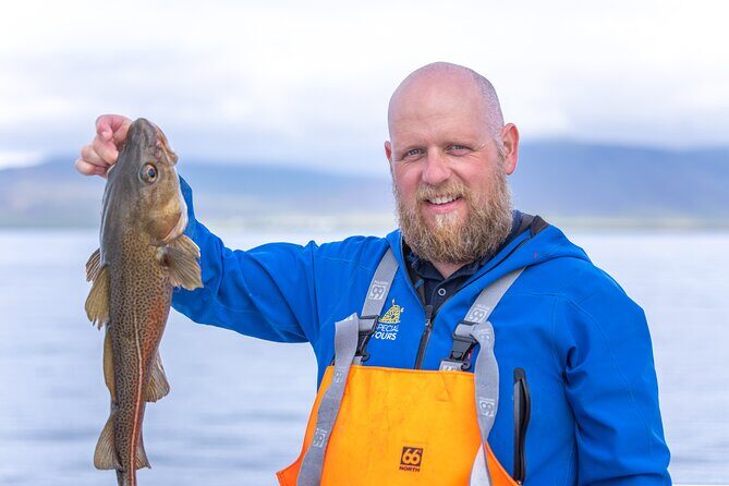 Sea Fishing Experience from Reykjavik - What You Can Expect on This Reykjavik Sea Fishing Trip