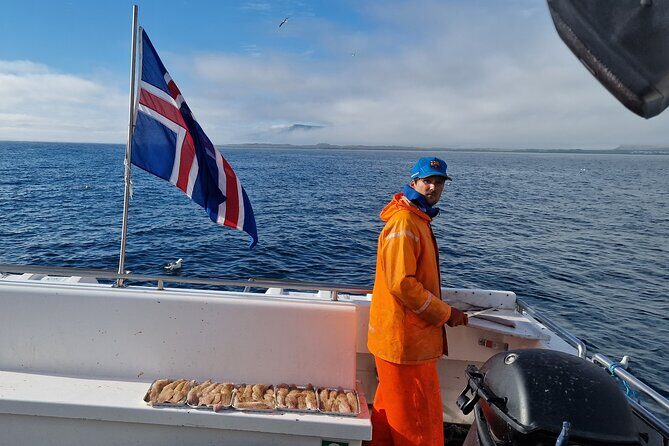 Sea Fishing Experience from Reykjavik - Who Is This Tour Perfect For?