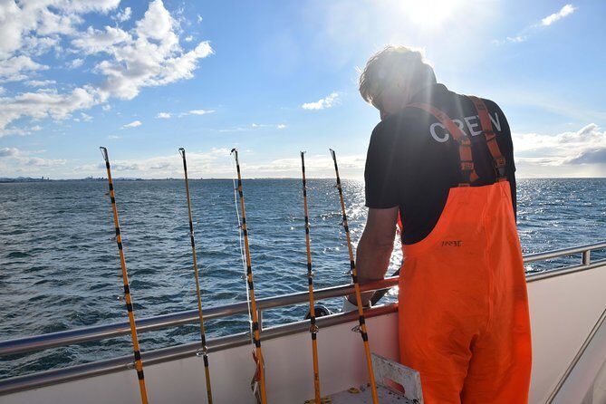 Sea Fishing Experience from Reykjavik - FAQ