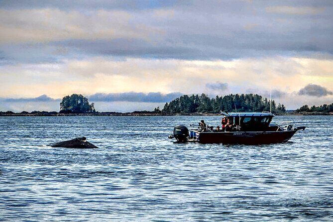 Sea it All -Private Sitka Wildlife LAND & SEA COMBO for 6 w/meal - FAQs about the Sea it All Sitka Wildlife & Land Combo Tour