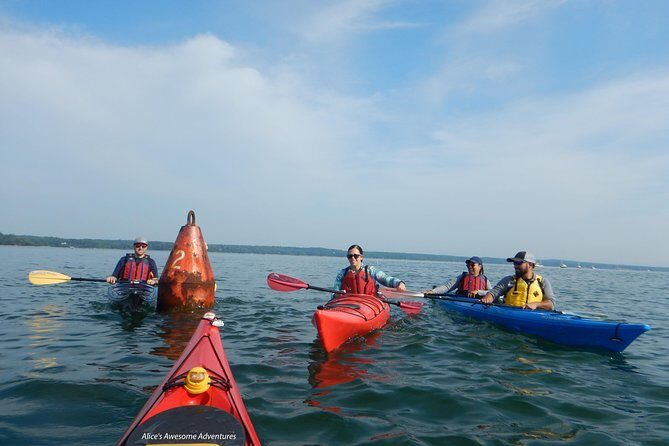 Sea Kayak to an Island Tour in Casco Bay - Who Should Consider This Tour?