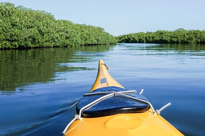 Sea Kayak Tour Mangrove Safari - Exploring the Sea Kayak Tour Mangrove Safari: A Friendly Guide