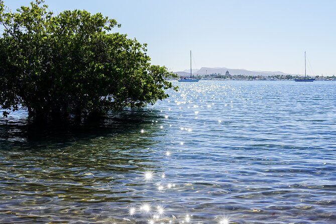 Sea Kayak Tour Mangrove Safari - Who Should Consider This Tour?