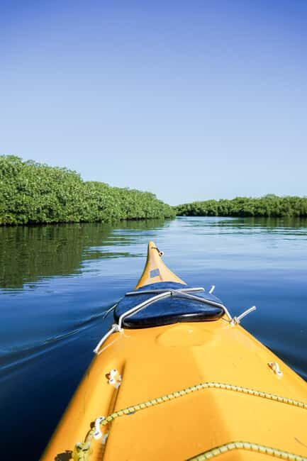 Sea Kayak Tour - Mangrove Safari - What to Expect on the Tour
