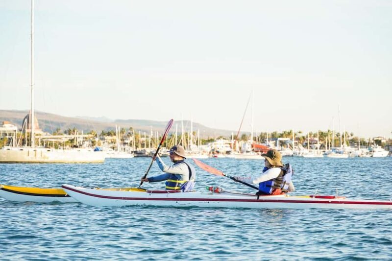 Sea Kayak Tour - Mangrove Safari - The Experience & What Travelers Say