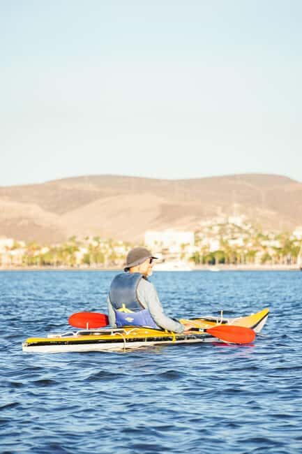 Sea Kayak Tour - Mangrove Safari - Who Is This Tour Best For?