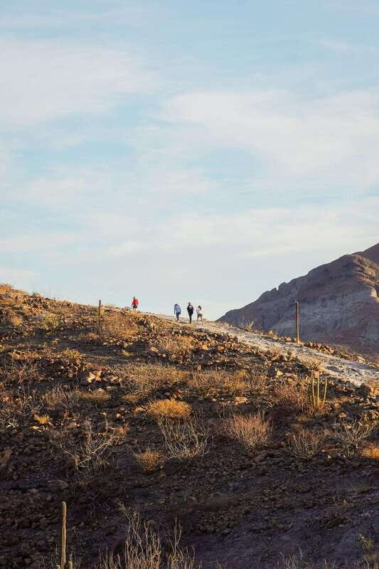 Sea Kayak Tour - Marine Safari - FAQ