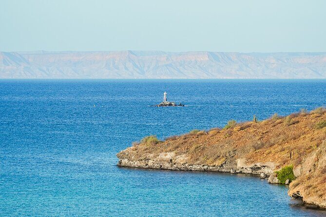 Sea Kayak Tour Marine Safari - Key Points