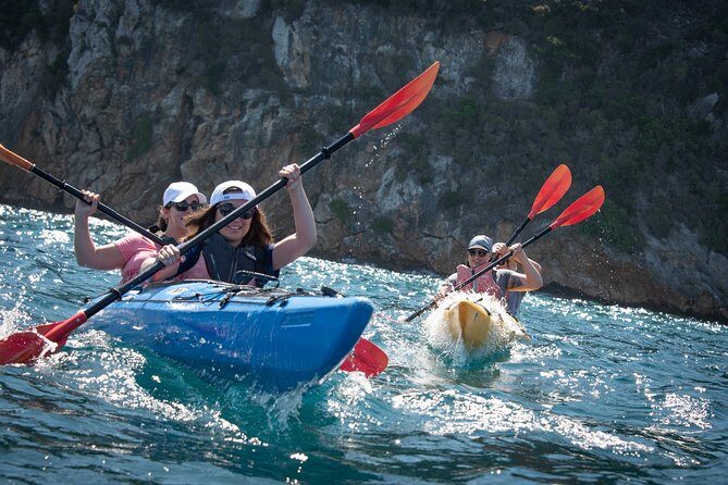 Sea Kayaking in Navarino Bay - What Its All About: Exploring Navarino Bay by Kayak