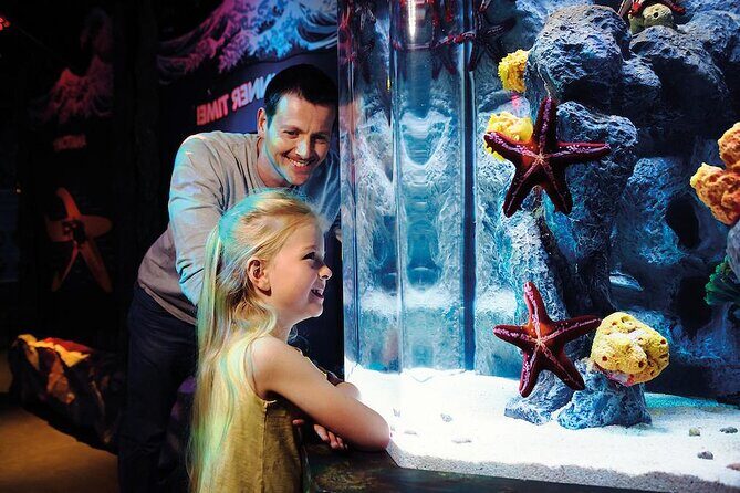 SEA LIFE Aquarium Arizona Admission Ticket - What to Expect When Visiting SEA LIFE Arizona