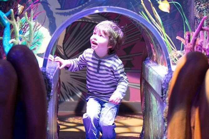 SEA LIFE Aquarium Grapevine Admission Ticket - Final Thoughts