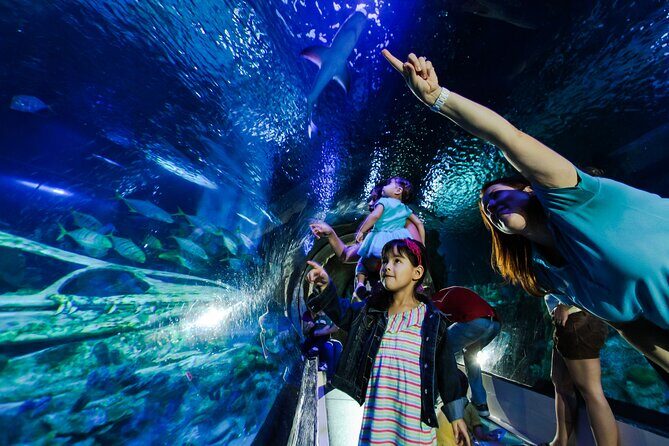 SEA LIFE Aquarium Minnesota Admission Ticket at Mall of America - Final Thoughts: Is It Worth It?