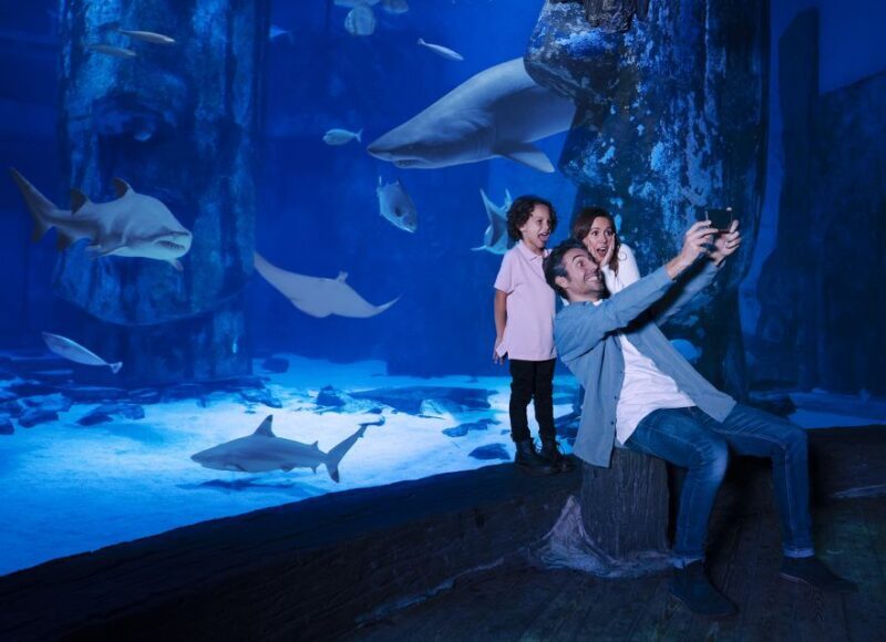 SEA LIFE Arizona Aquarium General Admission - Key Points