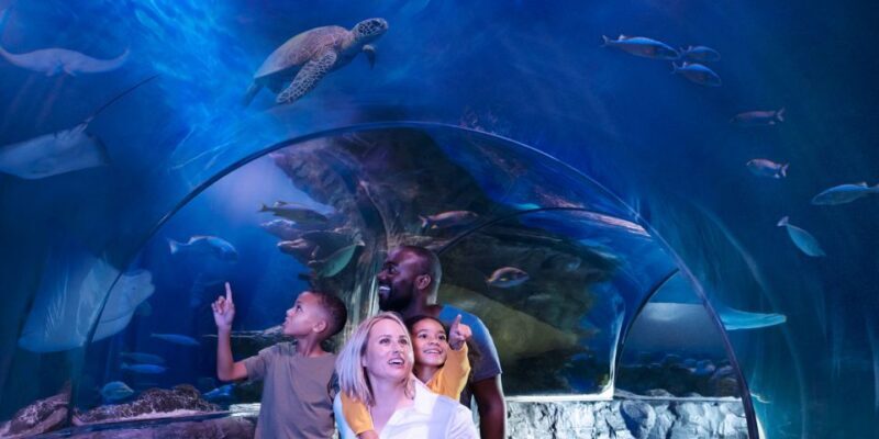 SEA LIFE Arizona Aquarium General Admission - What to Expect at SEA LIFE Arizona Aquarium