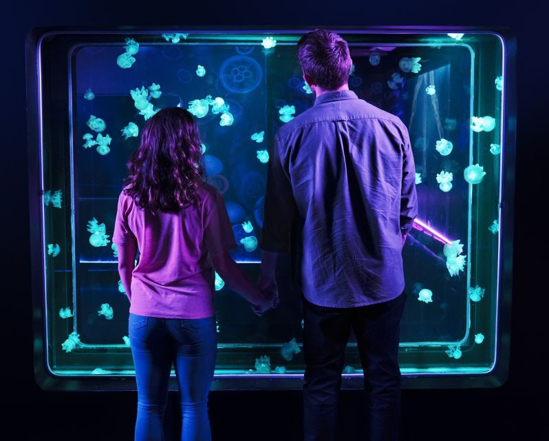 SEA LIFE Arizona Aquarium General Admission - Who Should Consider Visiting?