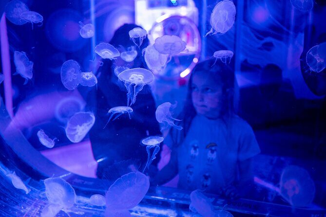 SEA LIFE Birmingham Admission Ticket - FAQs