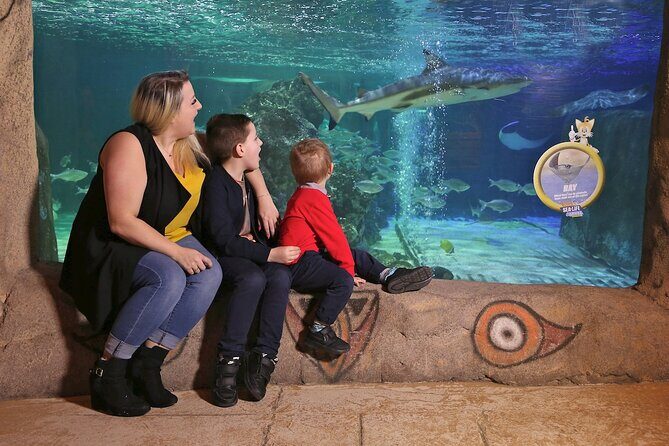 SEA LIFE Blackpool Admission Ticket - FAQs about SEA LIFE Blackpool