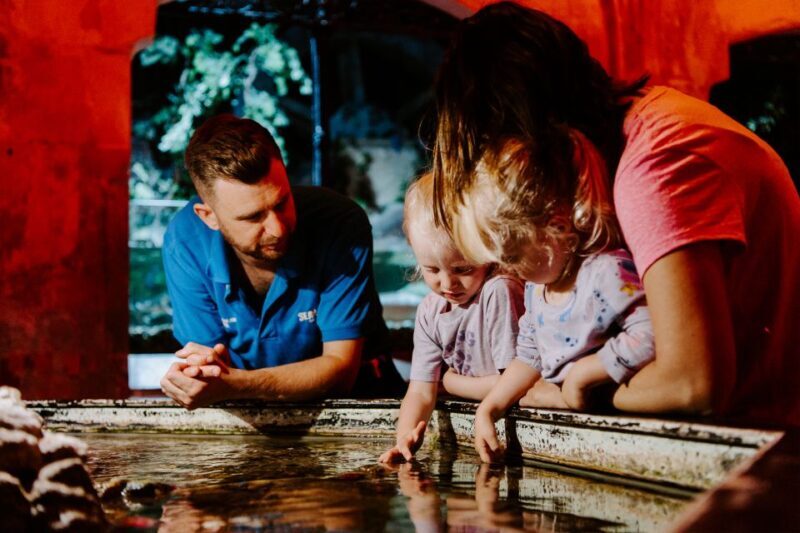 Sea Life Brighton Admission Ticket - What Could Be Improved?