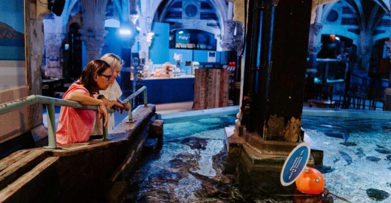 Sea Life Brighton Admission Ticket - Final Thoughts: Who Is Sea Life Brighton Best For?