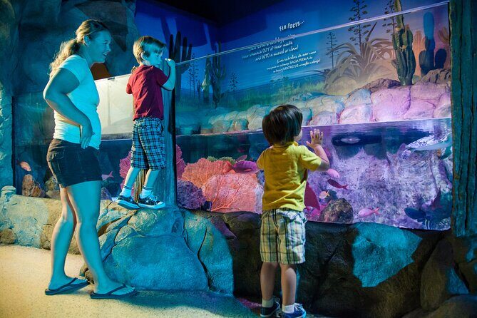 Sea Life Charlotte Concord Aquarium Admission Ticket - What You Can Expect from Your Visit