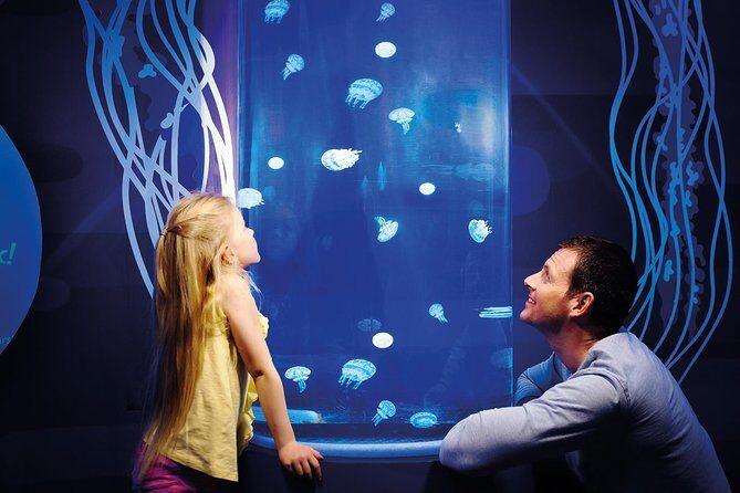 SEA LIFE Great Yarmouth General Admission - What Makes SEA LIFE Great Yarmouth Stand Out?