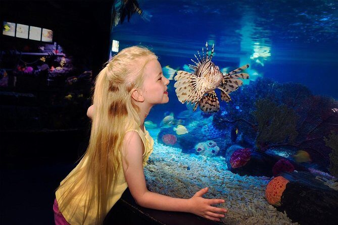 SEA LIFE Great Yarmouth General Admission - The Pros and Cons, Based on Real Experiences