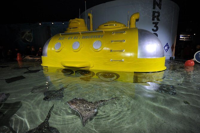 SEA LIFE Great Yarmouth General Admission - Is It Worth Visiting?