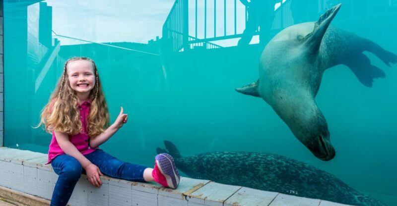 Sea Life Hunstanton - Key Points