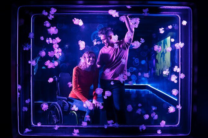 SEA LIFE Kansas City Aquarium Admission Ticket - What to Expect from Your Visit