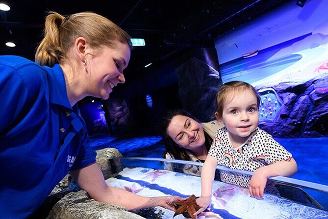 SEA LIFE London Aquarium Admission Ticket - Detailed Itinerary Breakdown