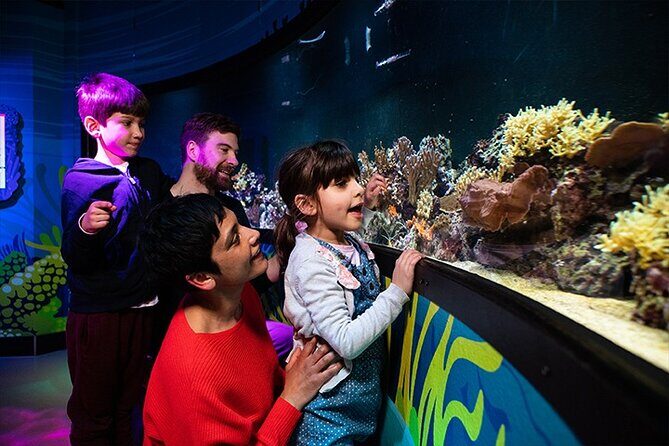 SEA LIFE London Aquarium Admission Ticket - Final Thoughts: Is It Worth It?