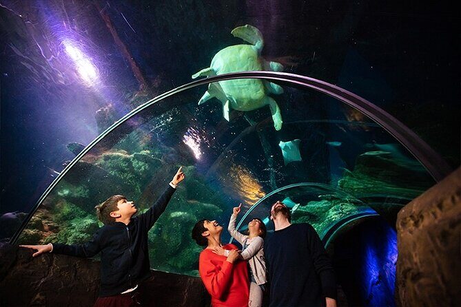 SEA LIFE London Aquarium Admission Ticket - FAQs