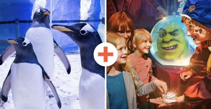 SEA LIFE London & DreamWorks Shrek's Adventure: Combo Ticket - Practical Considerations and Tips