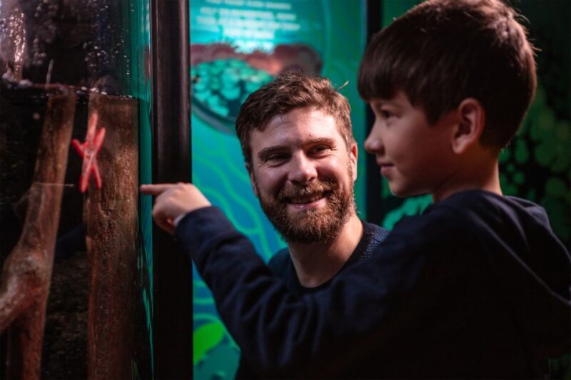 SEA LIFE London & DreamWorks Shrek's Adventure: Combo Ticket - FAQ