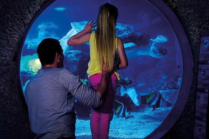 SEA LIFE Manchester Admission Ticket - The Itinerary: A Closer Look