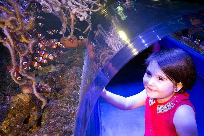 SEA LIFE Manchester Admission Ticket - Staff and Interactive Options