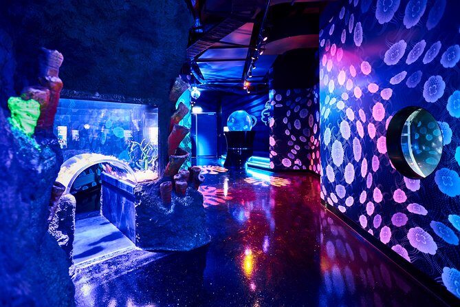 SEA LIFE Melbourne Aquarium Admission Ticket - Diving Into the Exhibits