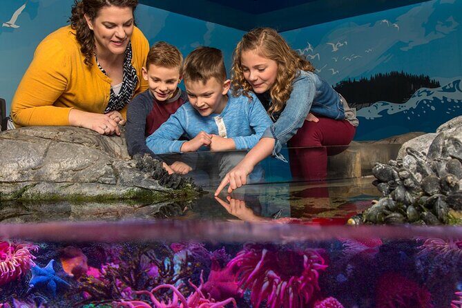 SEA LIFE Orlando Aquarium - The Review from Visitors: Authentic Perspectives