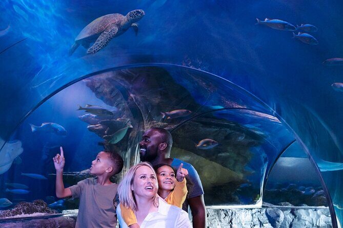 SEA LIFE Orlando Aquarium - The Sum Up